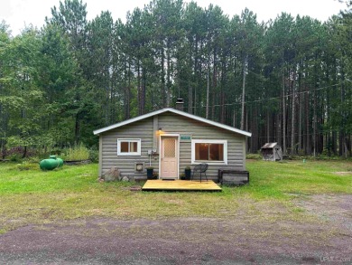 Beach Home For Sale in Lake Linden, Michigan