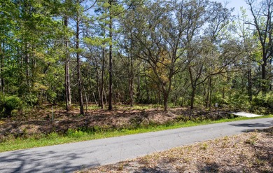 Beach Lot For Sale in Freeport, Florida