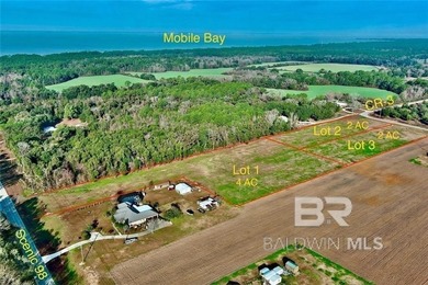 Beach Acreage For Sale in Fairhope, Alabama