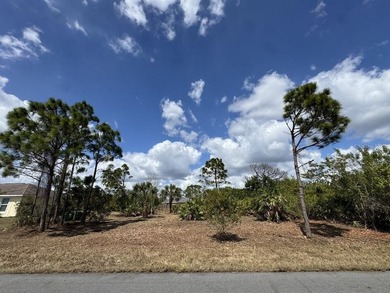 Beach Lot For Sale in Port Charlotte, Florida