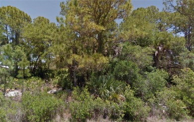 Beach Lot For Sale in Port Charlotte, Florida