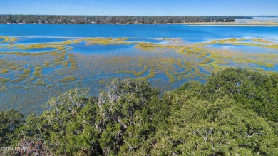 Beach Home For Sale in Saint Helena Island, South Carolina