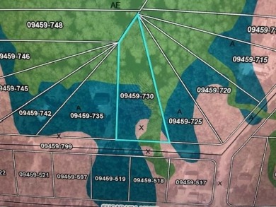 Beach Lot For Sale in Steinhatchee, Florida