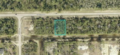 Beach Lot For Sale in Lehigh Acres, Florida