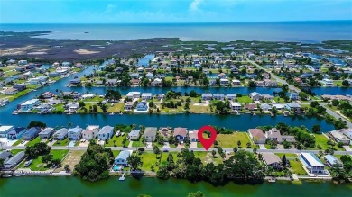 Beach Lot For Sale in Hernando Beach, Florida