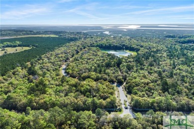 Beach Acreage For Sale in Midway, Georgia