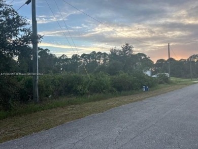 Beach Lot For Sale in Lehigh Acres, Florida