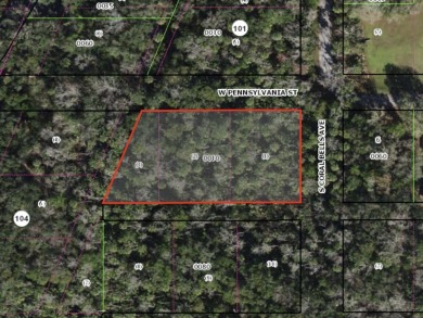 Beach Lot For Sale in Homosassa, Florida