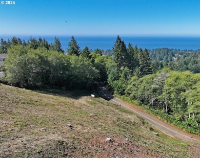 Beach Lot For Sale in Brookings, Oregon