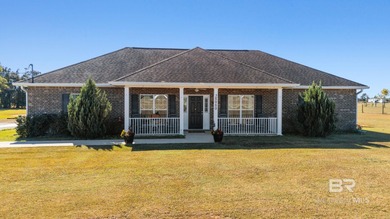 Beach Home For Sale in Elberta, Alabama