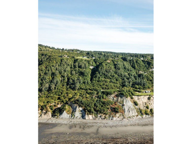 Beach Acreage For Sale in Homer, Alaska
