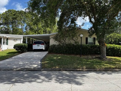 Beach Home For Sale in Ormond Beach, Florida