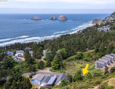 Beach Lot For Sale in Oceanside, Oregon