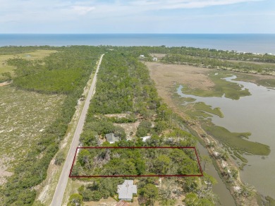 Beach Lot For Sale in Alligator Point, Florida