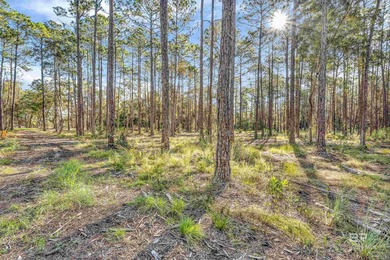 Beach Acreage For Sale in Foley, Alabama