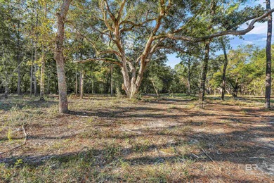 Beach Acreage For Sale in Foley, Alabama
