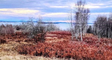 Beach Acreage For Sale in Robbinston, Maine