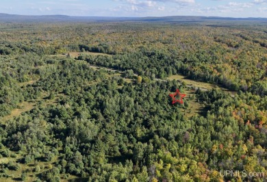 Beach Acreage Active Under Contract in Ontonagon, Michigan