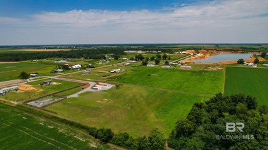 Beach Acreage For Sale in Foley, Alabama