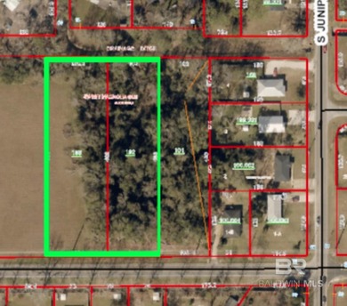 Beach Acreage For Sale in Foley, Alabama