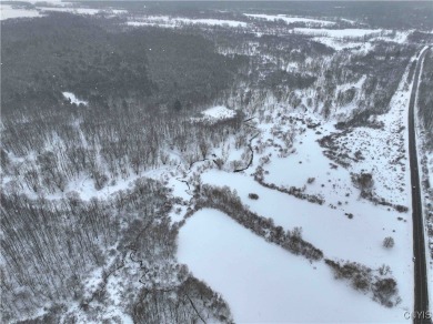 Beach Acreage Sale Pending in Ellery, New York