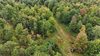 Beach Acreage For Sale in Ontonagon, Michigan