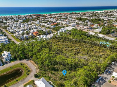 Beach Lot For Sale in Miramar Beach, Florida