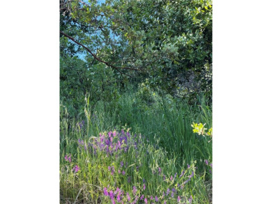 Beach Lot For Sale in Nice, California