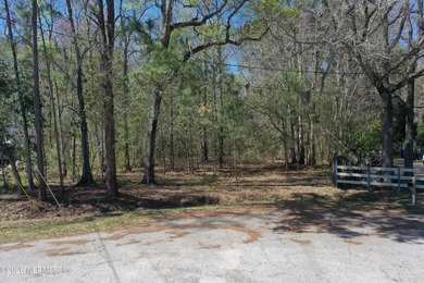 Beach Lot For Sale in St Augustine, Florida