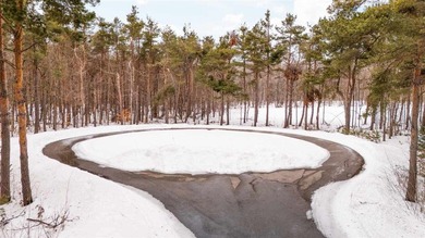 Beach Lot For Sale in Harbor Springs, Michigan