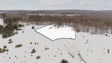 Beach Lot For Sale in Harbor Springs, Michigan