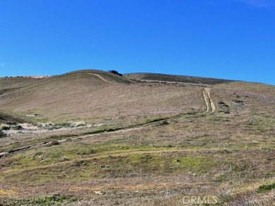 Beach Acreage For Sale in Del Sur, California