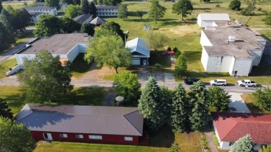 Beach Commercial For Sale in Port Austin, Michigan