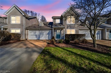 Beach Condo Active Under Contract in Madison, Ohio