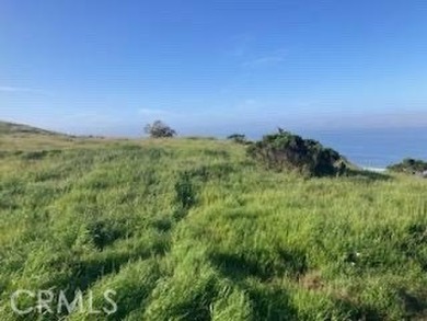 Beach Lot For Sale in Cayucos, California