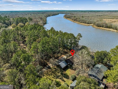 Beach Home For Sale in Woodbine, Georgia