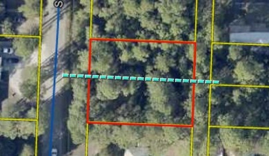 Beach Lot For Sale in Santa Rosa Beach, Florida