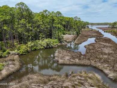 Beach Lot For Sale in Santa Rosa Beach, Florida