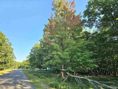 Beach Lot For Sale in Gladstone, Michigan