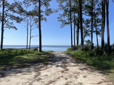 Beach Lot For Sale in Carabelle, Florida