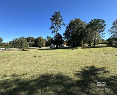 Beach Lot For Sale in Robertsdale, Alabama