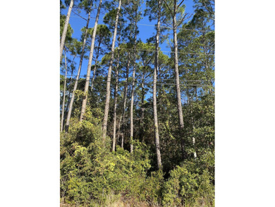 Beach Lot Sale Pending in Navarre, Florida