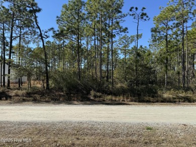 Beach Lot For Sale in Southport, North Carolina