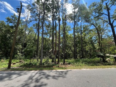 Beach Lot For Sale in Crawfordville, Florida