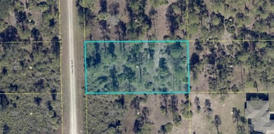 Beach Lot For Sale in Lehigh Acres, Florida