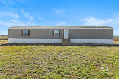 Beach Home For Sale in Foley, Alabama