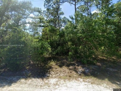 Beach Lot For Sale in Port Charlotte, Florida