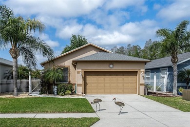 Beach Home For Sale in Land O Lakes, Florida
