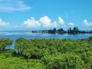 Beach Condo For Sale in Tarpon Springs, Florida