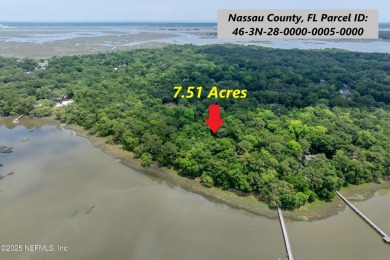 Beach Acreage For Sale in Fernandina Beach, Florida